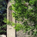 IMG_3877_resize